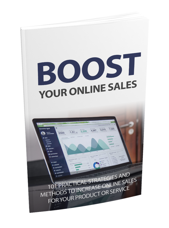 Boost Your Online Sales Book